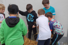 Scarecrow Construction 2021 