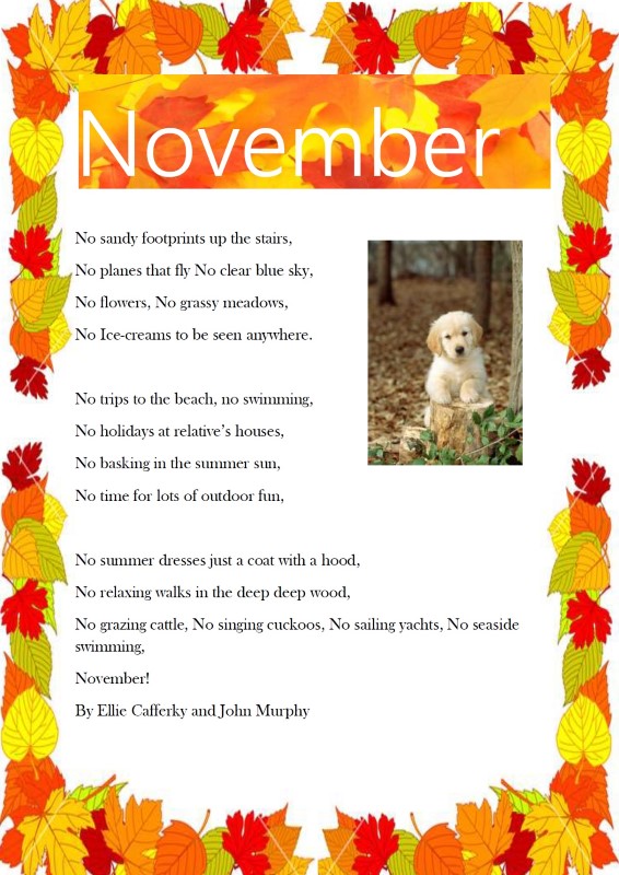 November by John & Ellie (Custom)